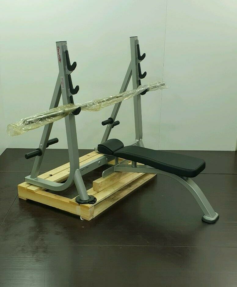 Panatta Olympic Flat Bench + Olympic Langhantelstange in Ahaus