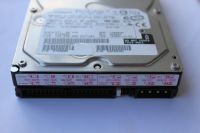 IDE Festplatte Hitachi 80GB P-ATA 7200RPM 2MB 3,5" Festplatte Bayern - Rosenheim Vorschau