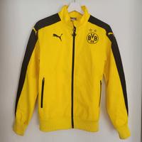 BVB Trainingsjacke / Sportjacke Gr. XS Puma unisex Kreis Pinneberg - Schenefeld Vorschau
