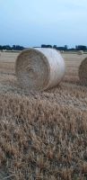 Stroh Rundballen 1,60 Meter Hessen - Einhausen Vorschau