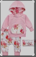 Babysweets Anzug Jogger Jogginganzug Anzug Rosen Bayern - Gersthofen Vorschau