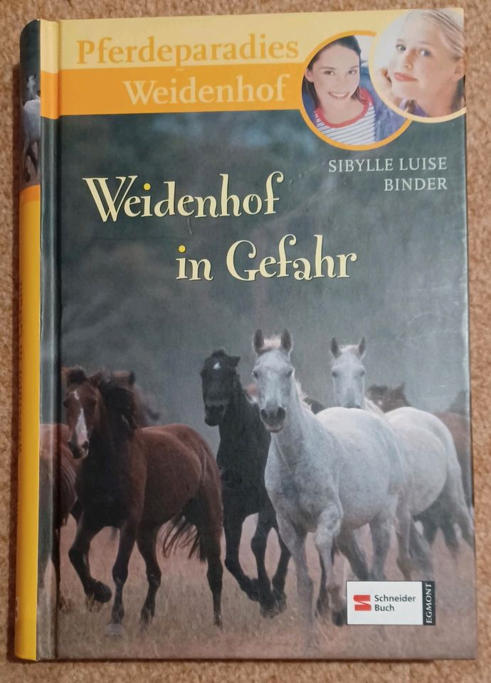 Kinderbuch: Weidenhof in Gefahr in Sehnde