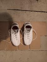 Schuhe Jordan weiß Gr. 41 Basketball Hansestadt Demmin - Stavenhagen Vorschau