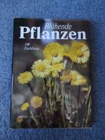 Blühende Pflanzen ARTIA-Verlag Sachsen - Aue Vorschau