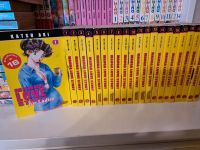 Manga Love Story 22 Bände Niedersachsen - Ostercappeln Vorschau