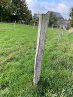 Weidezaunpfähle aus Eiche mit Isolatoren Nordrhein-Westfalen - Nümbrecht Vorschau