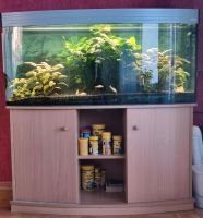 Aquarium AquaBora Vision 260 Nordrhein-Westfalen - Schlangen Vorschau