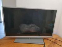 Grundig 42 VLE 9372 SL, TV / Fernseher, ohne Fernbedienung Sachsen - Elstra Vorschau