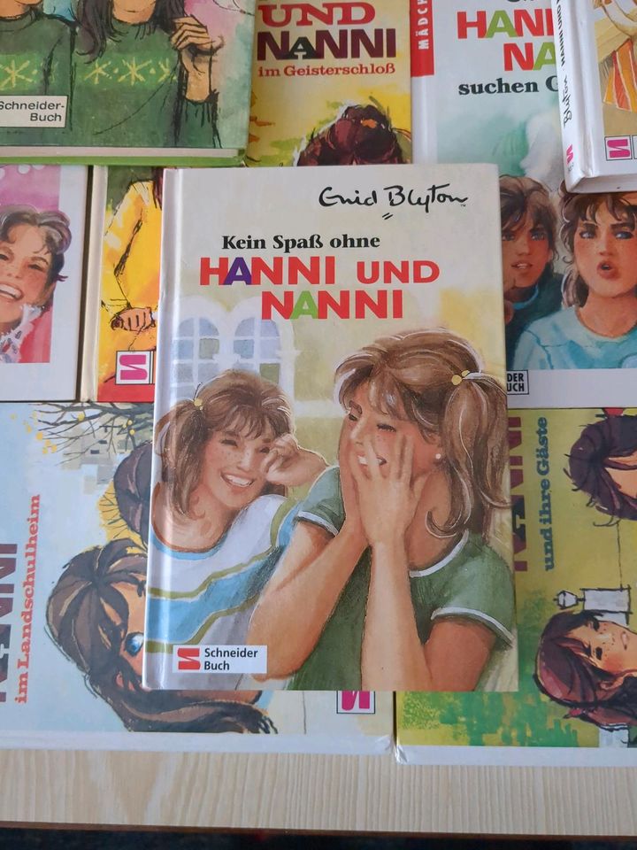 13 Hanni und Nanni Bücher in Zerbst (Anhalt)