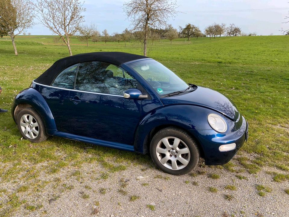 Vw beetle cabrio in Horb am Neckar