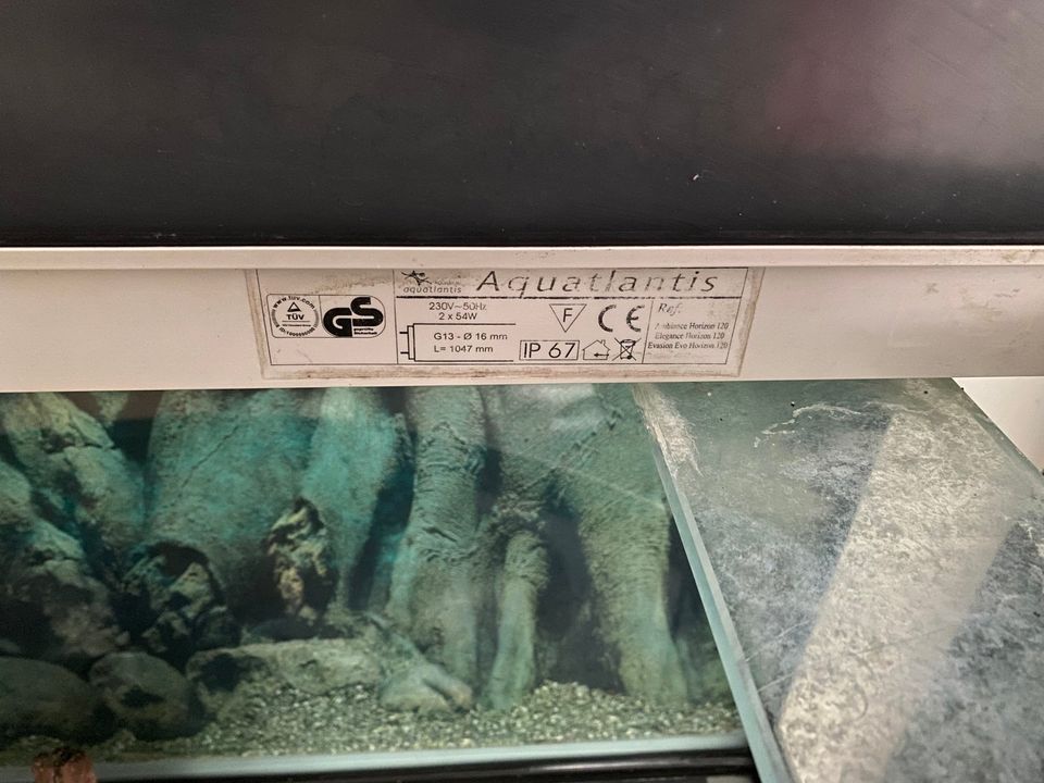Aquarium 120 cm gewölbt Aquatlantis Unterschrank Birke Glastüren in Erlangen