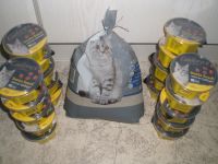 Katzenstreu ca. 4,5 kg und 20 Becher Katzensnacks Nordrhein-Westfalen - Harsewinkel Vorschau
