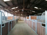 Pferdebox zu vermieten Pferde Pony Stall Niedersachsen - Holzminden Vorschau