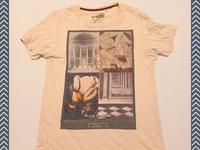 Herren T-Shirt, Kurzarm, beige, XL, Edc Brand, Ambassadors, Arms Sachsen - Radeberg Vorschau