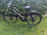 Haibike Sduro Trekking Damen 1.0 Hessen - Heidenrod Vorschau