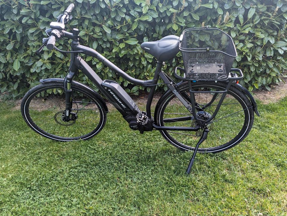 Haibike Sduro Trekking Damen 1.0 in Heidenrod