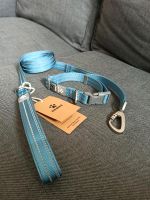 Hundeleine und Halsband Set hellblau Nordrhein-Westfalen - Soest Vorschau
