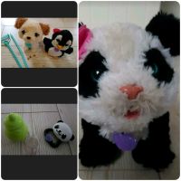 FurReal Friends Hund Pax Panda PomPom Brandenburg - Cottbus Vorschau