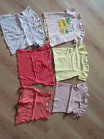 6 Shirts Zara und H & M 92 Bayern - Bergrheinfeld Vorschau