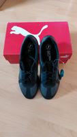 Sneakers / Turnschuhe von Puma - Grösse 41 - neu Rheinland-Pfalz - Bitburg Vorschau