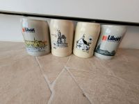 Libori PB Bier Krug Tasse Bierbrunnen Nordrhein-Westfalen - Altenbeken Vorschau