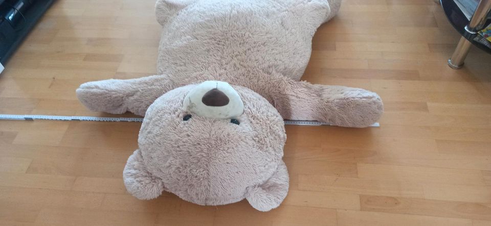 Riesen Teddy Kuscheltier in Leonberg