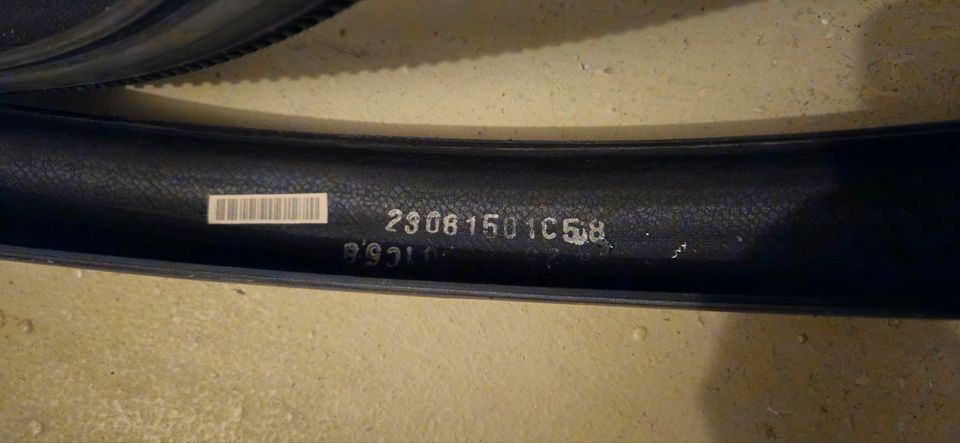 2 Fahrradreifen/decken Schwalbe wie neu, 28 Zoll in Rostock