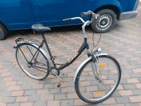 Damenfahrrad Holandrad Fahrrad 28 Zoll Hessen - Bensheim Vorschau