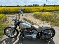 Harley Davidson Softail Springer CVO screamin‘ eagle 110 cu.i. Dortmund - Innenstadt-Ost Vorschau