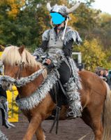 7 Kostüme Wikinger mit Helm,  selbst gebastelt, Einheitsgrössen Rheinland-Pfalz - Kehrig Vorschau