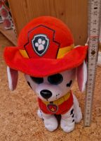 Paw Patrol Kuscheltier Baden-Württemberg - Amtzell Vorschau