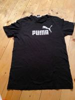 Herren Puma T-Shirt gr. M neuwertig Bayern - Schwabmünchen Vorschau