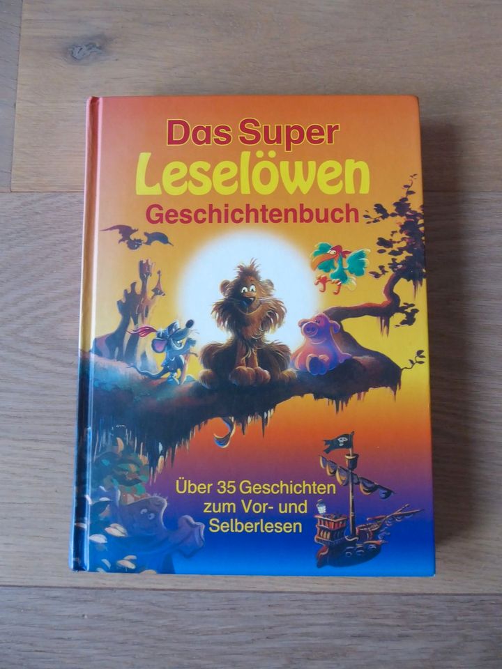 Das Super Leselöwen Geschichtenbuch mit 35 Geschichten in Castrop-Rauxel