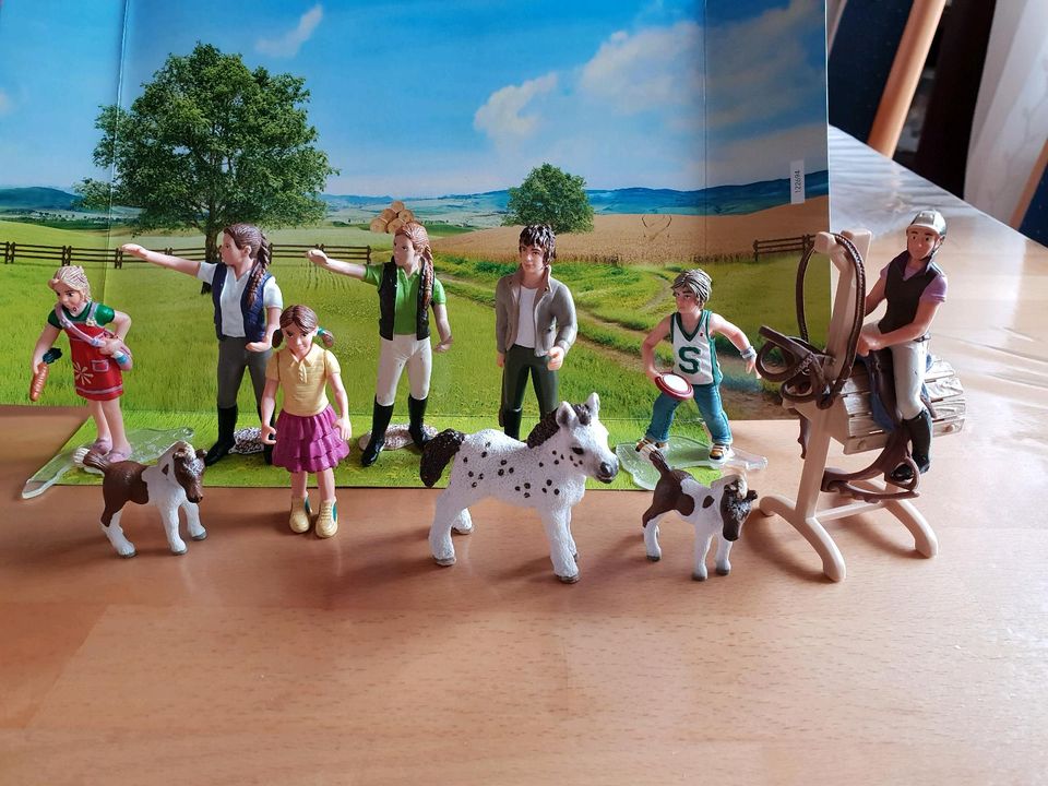 Schleich verschiedene Menschen,  Figuren in Hohn