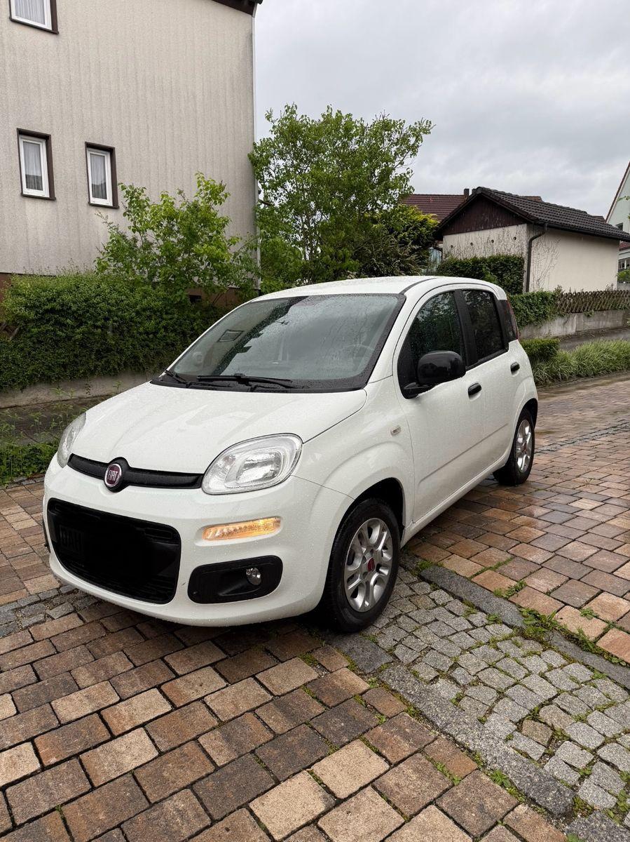 Abbildung des Autos Fiat New Panda 1.2 8V MO…