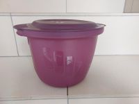 Tupperware Pasta Master Düsseldorf - Oberkassel Vorschau