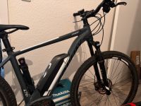 Conway ebike Brandenburg - Lauchhammer Vorschau