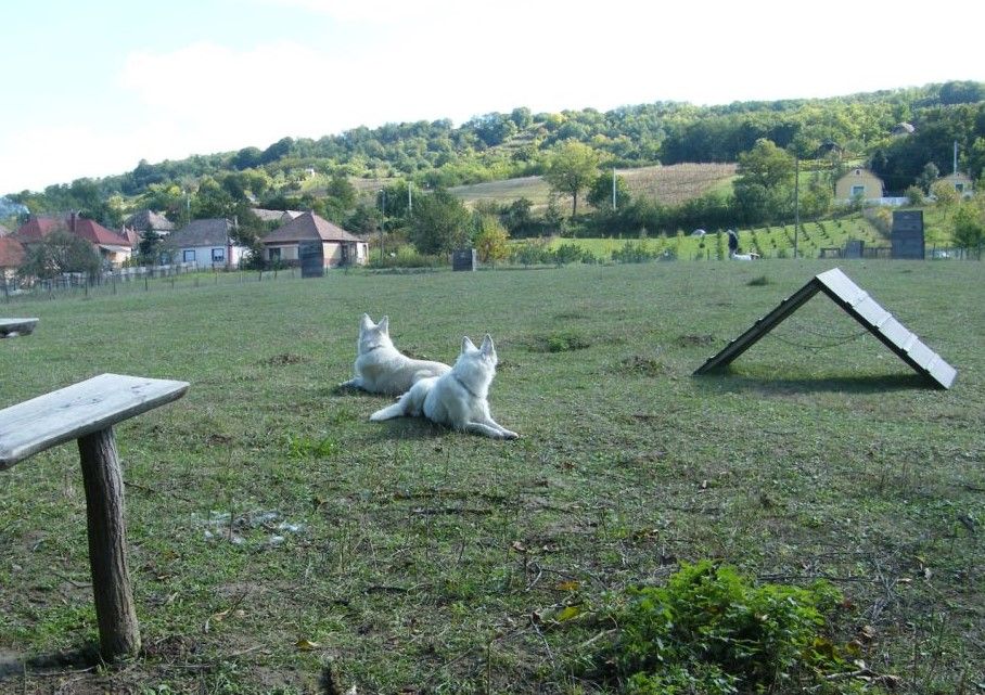 Kinder und Hunde willkommen, 3 Gehminuten z. Bad, eingez. Garten in Gangkofen