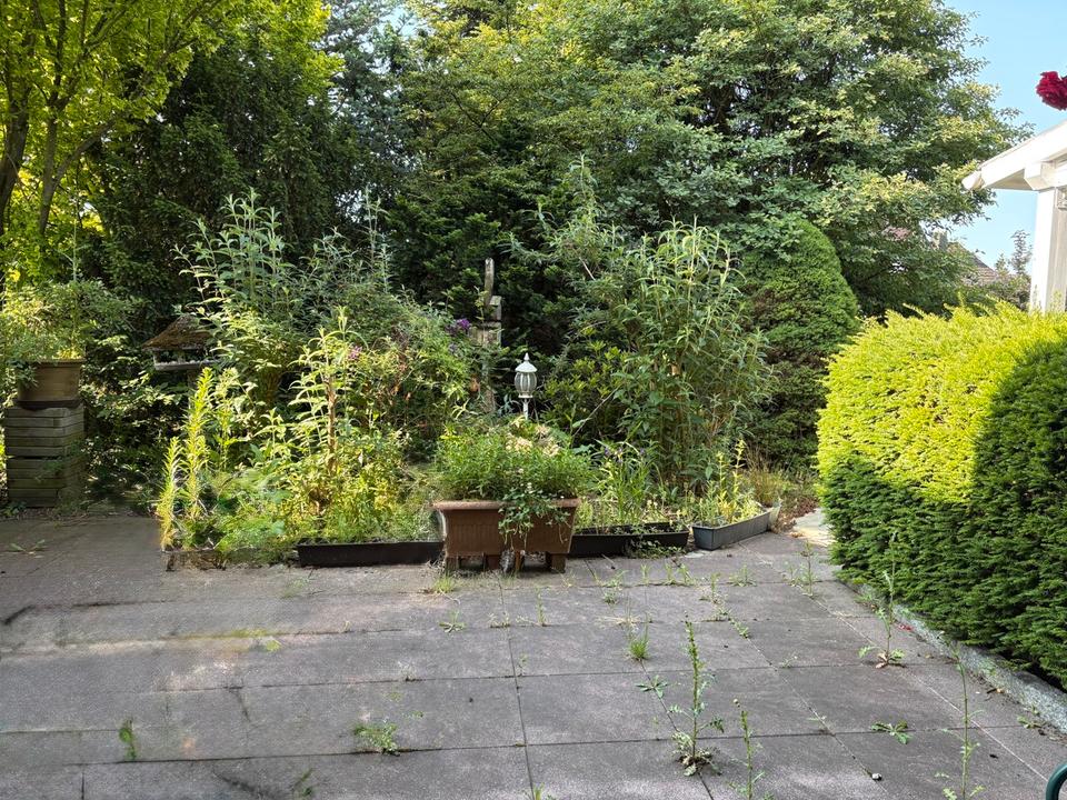 Property thumbnail 14