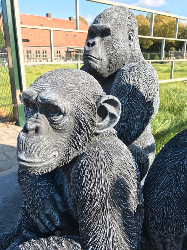 ‼️Schimpanse 52cm Chita Bonobo Steinguss Affe Affen Menschenaffen in Düsseldorf