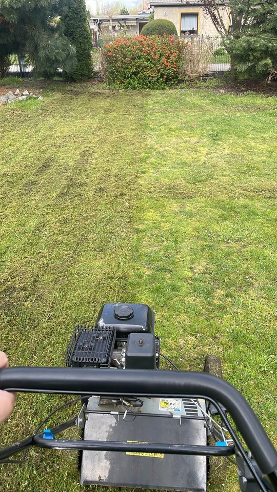 Vertikutierung, Gartenpflege, Baumfällung, Gartenarbeit in Falkensee