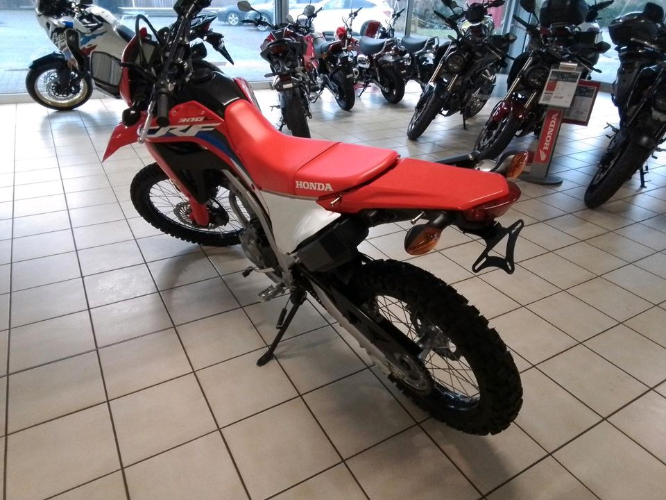 HONDA CRF300L in Leezdorf