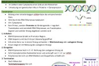 Biologie LK Lernzettel Abitur 2024 Hessen ALLE Themen von Q1-Q3 Hessen - Friedrichsdorf Vorschau