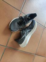 Asics GT 2000 (12) Wide Hessen - Darmstadt Vorschau