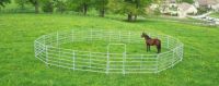 Roundpen mit 15 panels a 2,40 oder 3,00 m und einer tür 1,20 m Baden-Württemberg - Bitz Vorschau