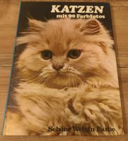 Vintage Retro Katzen Buch 70er Jahre Bildband HC Gebunden Berlin - Reinickendorf Vorschau