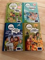 Die Bloggerbande Bücher je 3€ Rheinland-Pfalz - Saulheim Vorschau