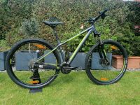 ❤️29" MTB Alu Gr. M Bergamont Revox 6.0 Nordrhein-Westfalen - Oberhausen Vorschau