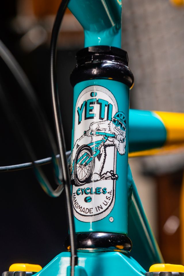 YETI ARC MTB in Dresden