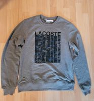 Lacoste Sweater Pullover grau Größe L Hessen - Hofheim am Taunus Vorschau